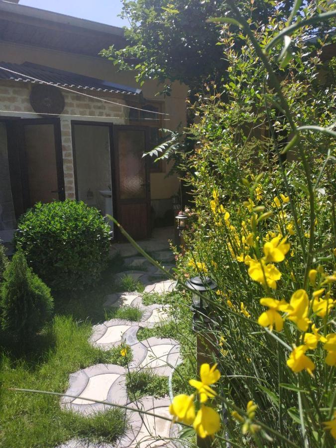 Sim Sim Hostel & Guest House Near The Church سمرقند المظهر الخارجي الصورة