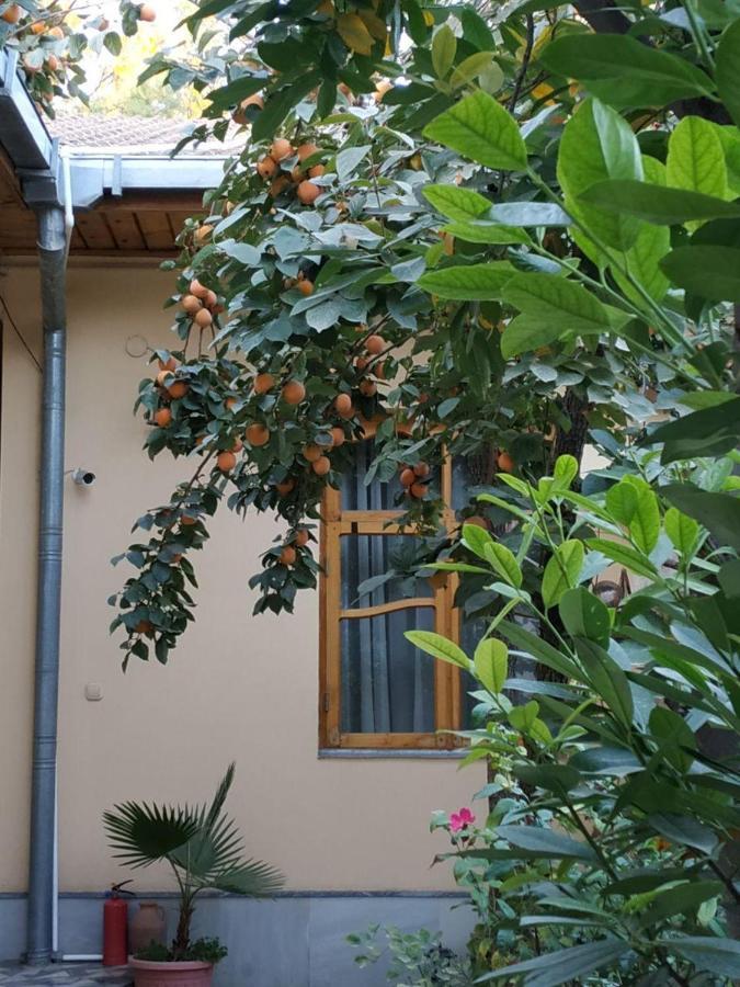 Sim Sim Hostel & Guest House Near The Church سمرقند المظهر الخارجي الصورة