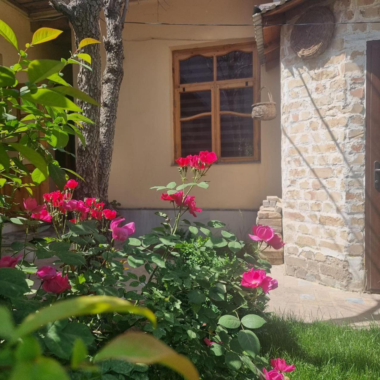 Sim Sim Hostel & Guest House Near The Church سمرقند المظهر الخارجي الصورة
