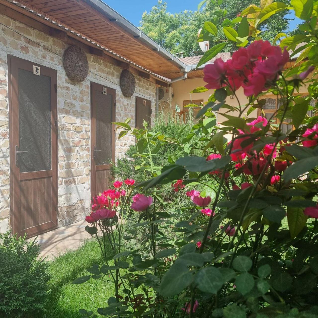 Sim Sim Hostel & Guest House Near The Church سمرقند المظهر الخارجي الصورة
